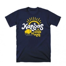 State of Mine - Navy