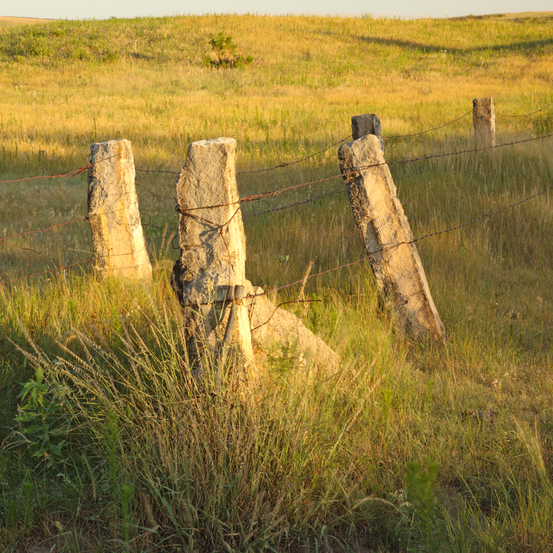 Using natural material for fencing, LaCrosse