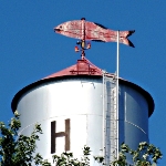 Checking on the weather, Harper